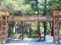 Hükümet-Belediye Uyumu İle Torbalı'da Taşlar Yerine Oturuyor