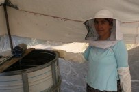 Marmaris'ten 'Bal' Akıyor