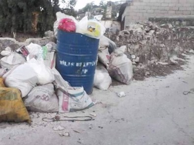Milas'ta Çöplerin Toplanmaması Tepki Topladı