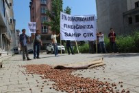 SIYAH ÇELENK - Üreticilerden Fındık Protestosu