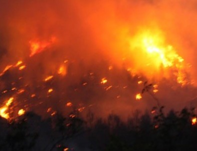 ABD'deki orman yangınında 80 ev küle döndü
