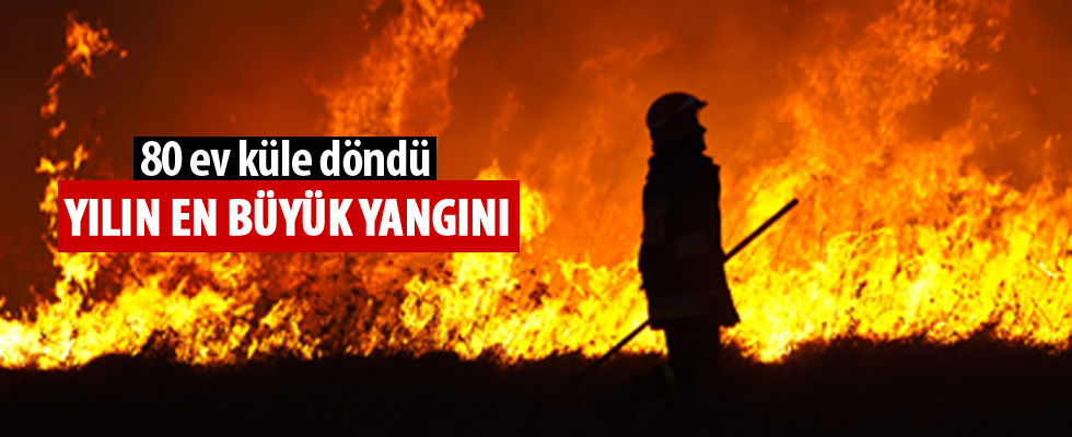 ABD'deki orman yangınında 80 ev küle döndü