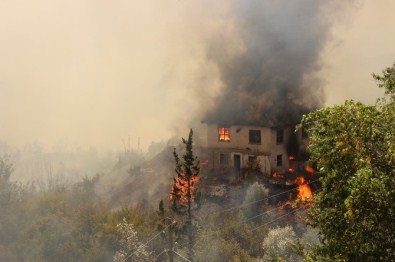 Kumluca'da Orman Yangını Açıklaması 4 Ev Yandı