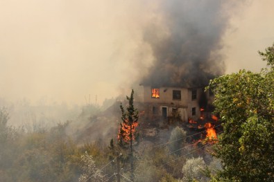 Ormanda çıkan yangın evlere sıçradı