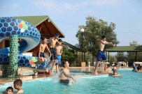 ZEYTİNBURNU BELEDİYESİ - Öğrenciler Yaz Kampında Tatile Doyacak
