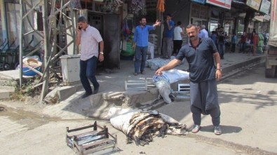 Trafo Panosundaki Yangın İş Yerine Zarar Verdi