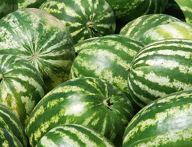 Karpuzun iyisini bulan uygulama