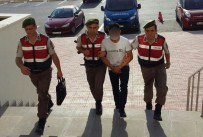 BOMBALI TUZAK - Nusaybin'de Hendek Kazdı, Bodrum'da Yakalandı