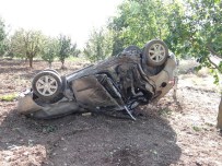 Otomobil Ağaca Çarpıp Takla Attı Açıklaması 2 Yaralı