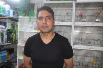 MAHMUT YıLDıRıM - Sıcak Havalarda Hayvan Bakımına Dikkat Edin