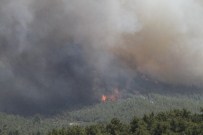 OLIMPOS - Antalya'da ikinci büyük yangın