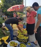 BAVUL TICARETI - Bavul Ticaretinin Yerini Meyve Ticareti Aldı