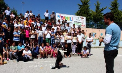 Çankaya Belediyesi'nden Çocuklara 'Sokak Hayvanları' Dersi