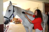 UYUŞTURUCU BAĞIMLILARI - Engelli Ve Yaşlılar, Atlarla Yapılan Terapi İle Şifa Bulacak