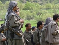 PKK - İşte kalan terörist sayısı