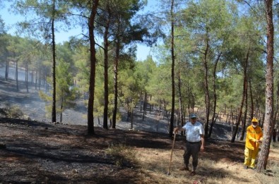 Mesire Yerinde Bir Haftada İkinci Yangın