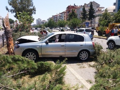 Otomobil Ağaca Çarptı Açıklaması 2 Yaralı