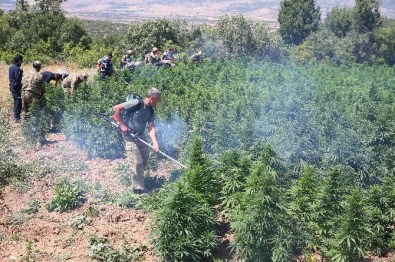 PKK'ya Darbe Üstüne Darbe