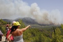 OLIMPOS - Tahliyeler Başladı