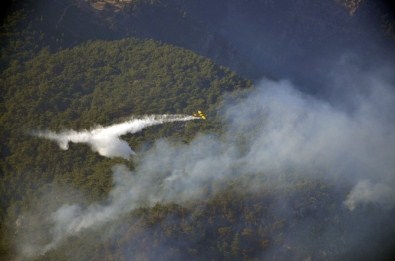 Adrasan Ve Olimpos'taki Orman Yangınları