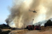 MURAT UZ - Demre'deki Yangın Kontrol Altına Alındı