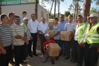 CUMA ÖZDEMIR - Kilis Belediyesi Çalışanlarına Gıda Kolisi Dağıtıldı