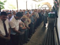 İSMAIL ÇATAKLı - Milletvekili Dülger'in Acı Günü