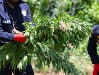 ÖZEL BİRLİK - Teröristlerden yandaşlarına 'uyuşturucuyu yakın' talimatı