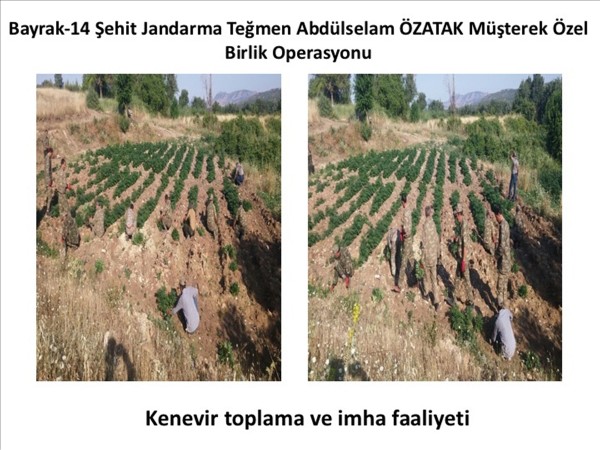 Lice operasyonunda ele geçirilenler