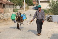 ÇAMKÖY - Arızalanan Su Pompası Çamköyü Perişan Etti