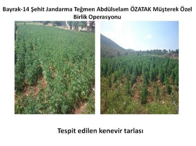 Bayrak-14 Şehit Jandarma Teğmen Abdülselam Özatak Operasyonu