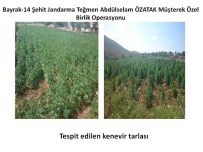 ÖZEL BİRLİK - Bayrak-14 Şehit Jandarma Teğmen Abdülselam Özatak Operasyonu