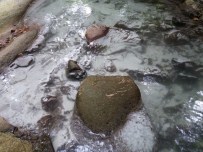 ÇATALOLUK - Dereye Kireç Döktüler