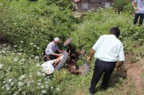 AKKONAK - İneği Yakalamak İsterken Dereye Uçtular Açıklaması 1 Yaralı