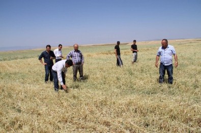 Yozgat'ta Dolu 15 Bin Dekar Ekili Alana Zarar Verdi