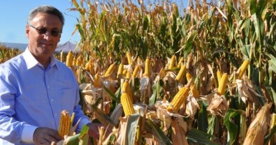 Çiftçiye Destekleme Ödemeleri Başladı