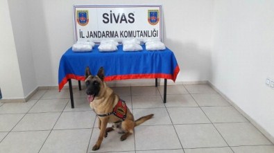 'Geçim' Uyuşturucu Tacirlerine Geçit Vermiyor