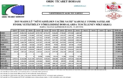 9 Ayda 504 Bin Ton Fındık Pazara İndi