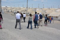 ZEKI KAYA - BM Heyeti Viranşehir Çadır Kentinde İnceleme Yaptı