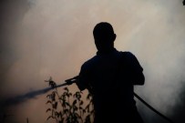 KONACıK - Bodrum'da Çıkan Yangın Kısa Sürede Söndürüldü