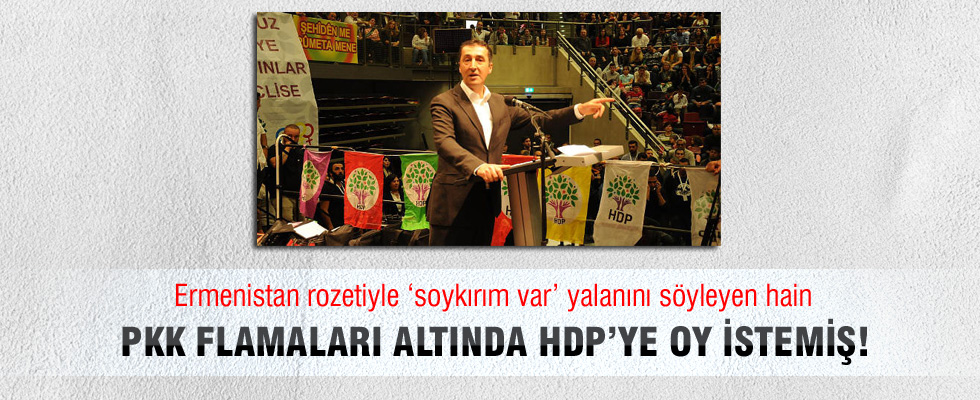 Cem Özdemir HDP ile kol kola!
