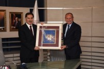 ŞEREF MALKOÇ - Cumhurbaşkanı Başdanışmanı Düzce Belediyesinde