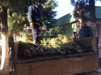 Efeler Belediyesi 2250 Adet Fidan Dikti