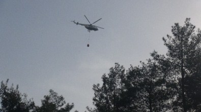 Hatay'da Orman Yangını