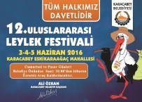 Karacabey'de Leylek Festivali Heyecanı Başlıyor