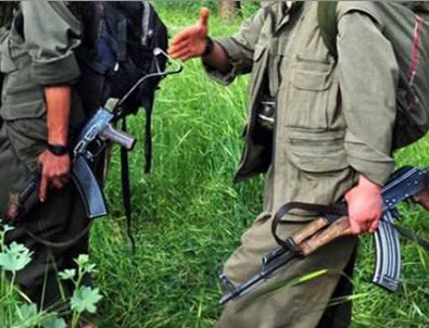 PKK'nın üst düzey ismi yakalandı