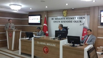 Tarım Müdürü Türkmen, Meclisi Bilgilendirdi