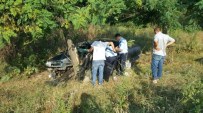 ZABITA MEMURU - Ağaca Çarpan Otomobildeki Zabıta Memuru Yaralandı
