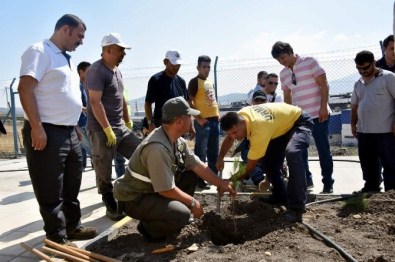 Aliağa'da Fidanlar Toprakla Buluştu