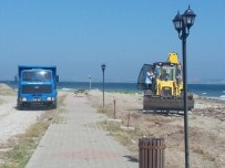 TATİL KÖYÜ - Çardak'ta Sahil Temizliği